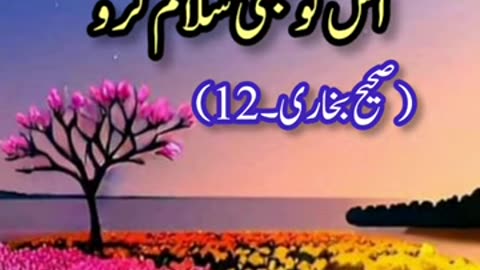 Hadith in Urdu ✍️🥀 ｜｜ Islami Reels 🌹｜｜ Best Islamic Short Hadith Of Prophet Muhammad PBUH