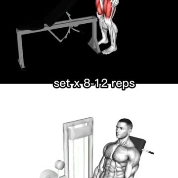 Home/Gym Lower Body Workout Exercises