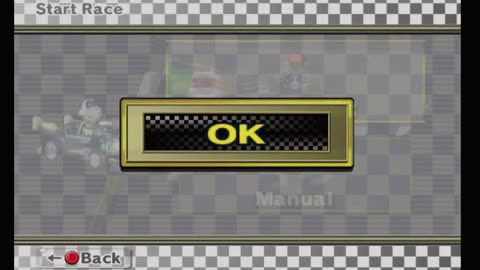 Mario Kart Wii Race193