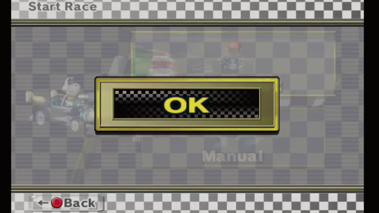 Mario Kart Wii Race193