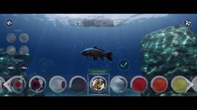 Koi grow, relaxing gameplay, My Koi game, ASMR