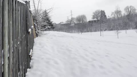 Toronto snow dump round 2