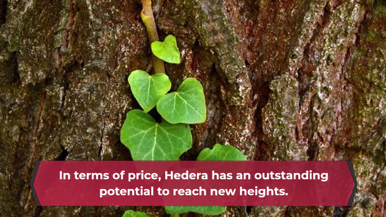 Hedera Price Forecast FAQs