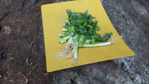 Slang Pond Campsite, Saint Regis Canoe Area (Adirondacks State Park, NY) 3