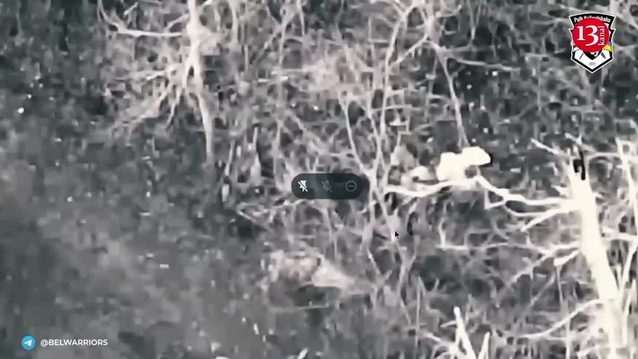 This is what Belarusian fighters with drones and artillery did to Russians in a wooded area