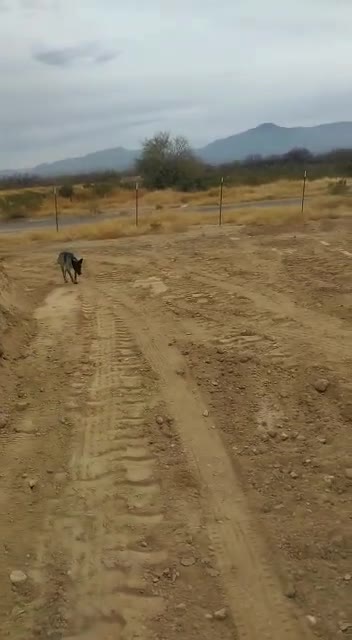 ￼ Esperando las carreteras del rancho