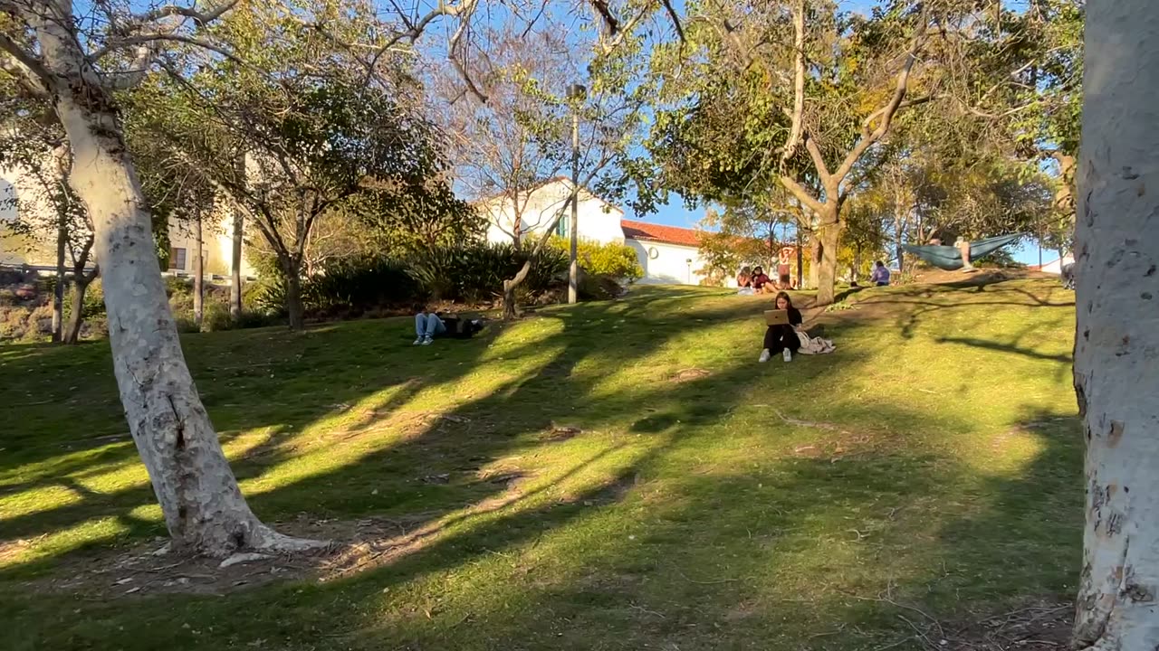 San Diego State University Evening Walk