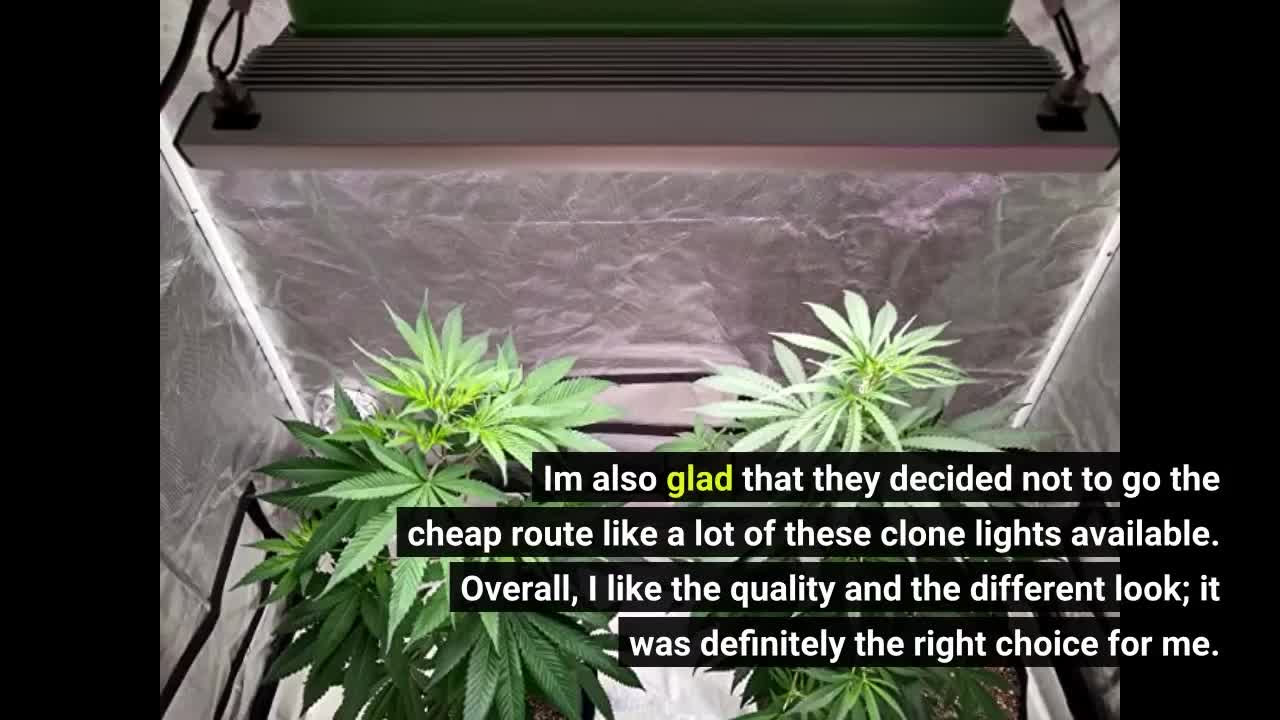 BESTVA BP1000 LED #GrowLight with High Yield Samsung-Overview