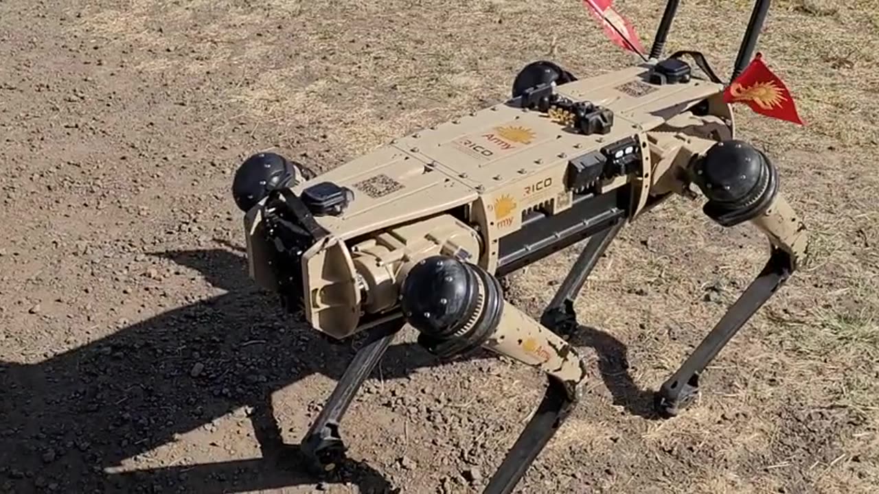 Robot Dog
