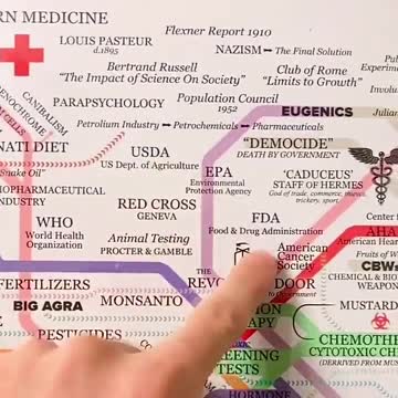 The Healing Web: The Origins of Western Medicine!