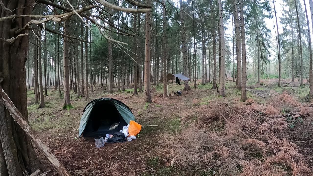 Woodland wildcamping set up. 22nd Jan 2023