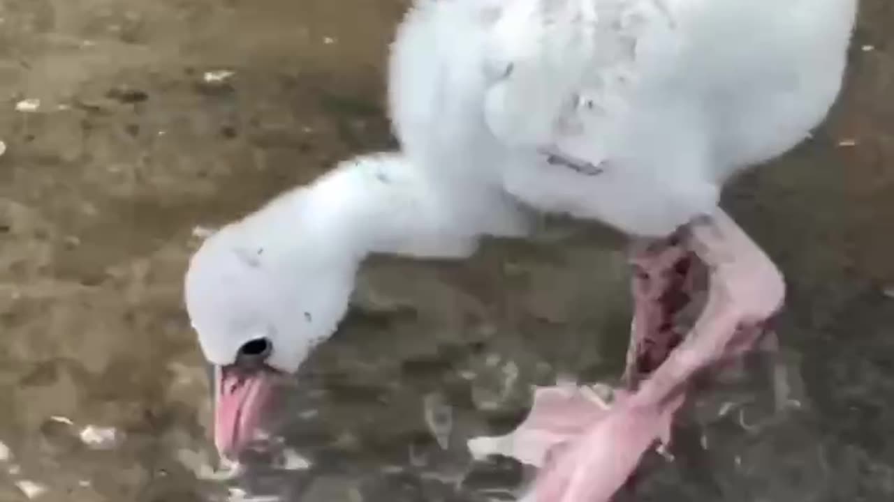 Kids love splashing their feet in puddles of water