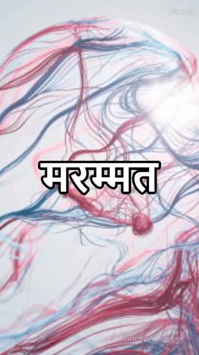 Many Benefits Of Egg