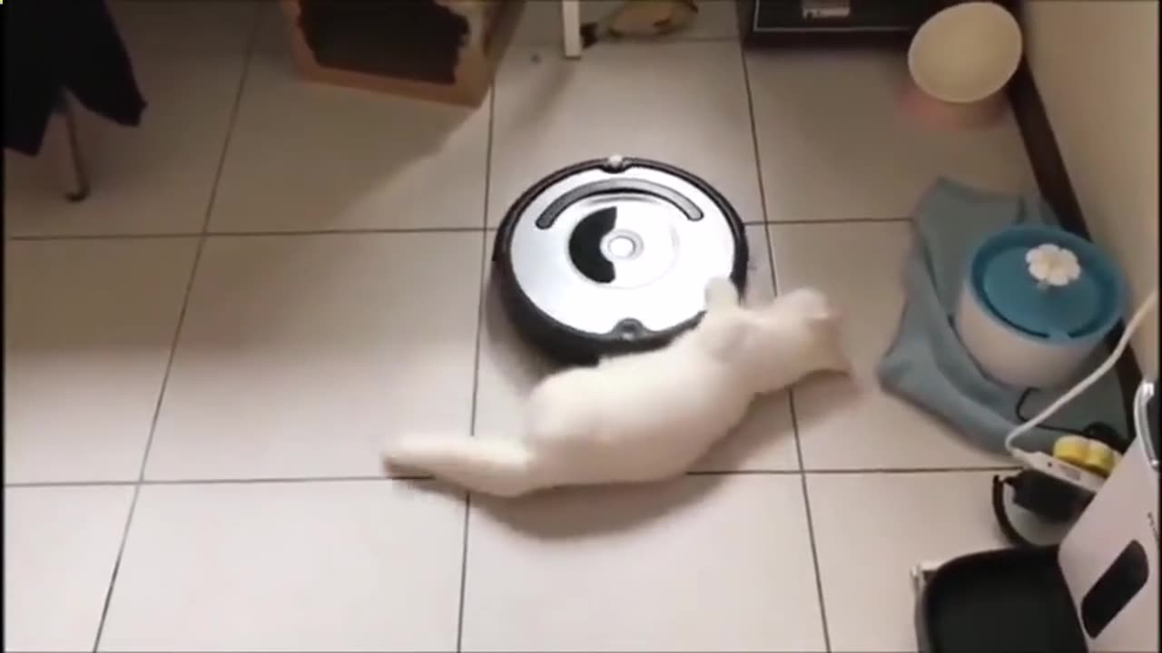 you spin me round round round