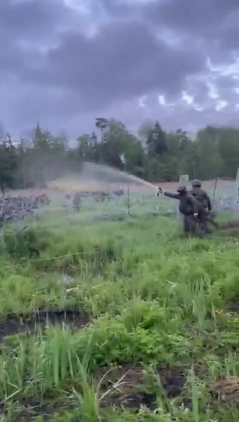 Aggressive illegal immigrants Vs. Polish border guards on the Polish-Belarussian border