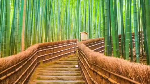 🔴 Relaxing Music 24/7, Sleep Music, Stress Relief Music, Spa, Meditation, Yoga, Zen, Sleeping Music