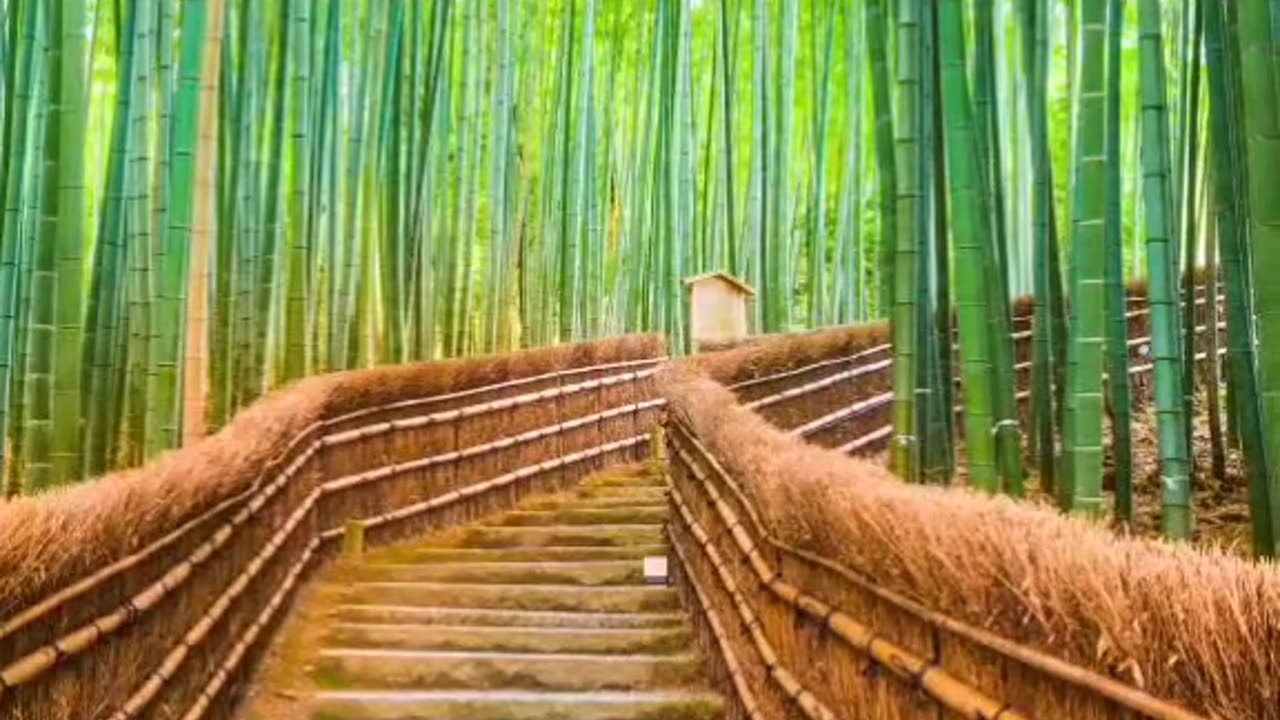 🔴 Relaxing Music 24/7, Sleep Music, Stress Relief Music, Spa, Meditation, Yoga, Zen, Sleeping Music