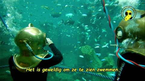 Initiatie helmduiken bij Todi