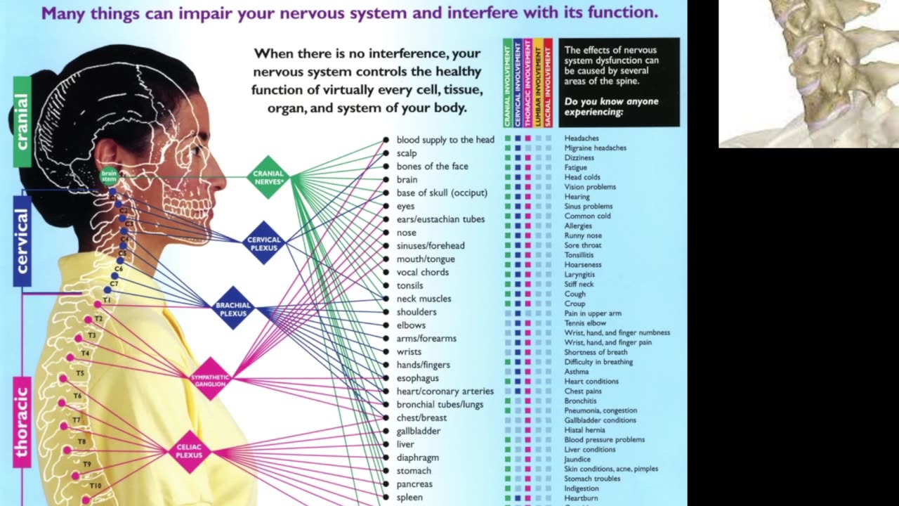 La Matrix y el cuerpo Humano