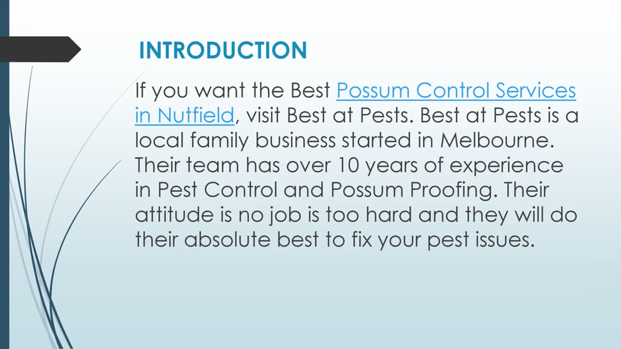 Best Possum Control Services in Nutfield