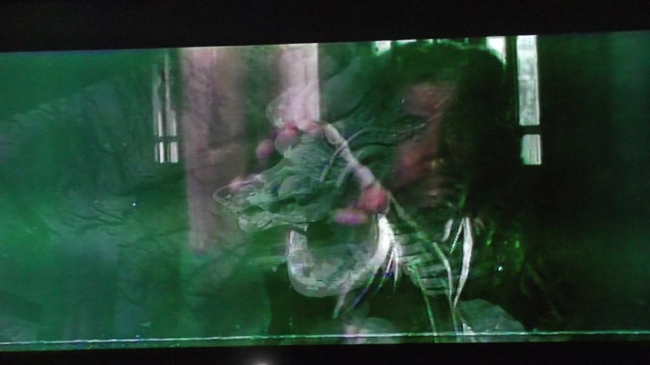 "The Butterfly Murders" Strange looking adventure film...