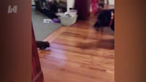 People having a bad day