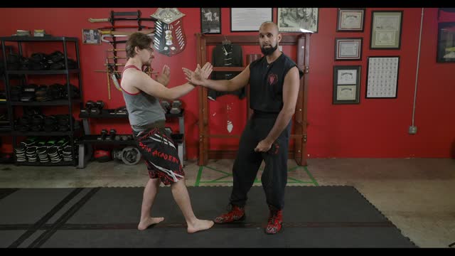 Wing Chun - Stomp Kick 1