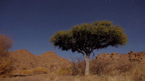 African Night Sky Video10