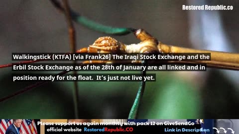 Nick Fleming RVGCR Intel Update February 12, 2023