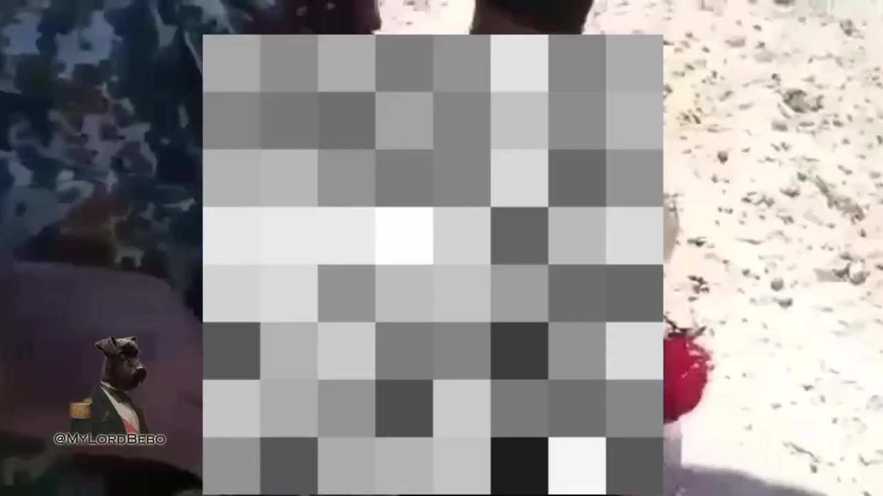 🔞🇸🇾🚨‼️ “Moderate” rebels beheaded a Syrian soldier because he is an “infidel”