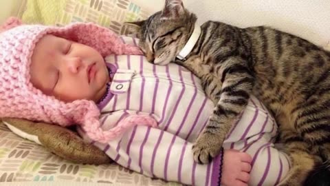 When cats and babies become first friends 👶🐱