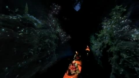 Bay of Plenty, New Zealand in 360 Glow-worms