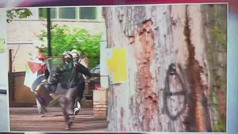 Os revolucionários comunistas que pretendem remodelar os Estados Unidos da América.