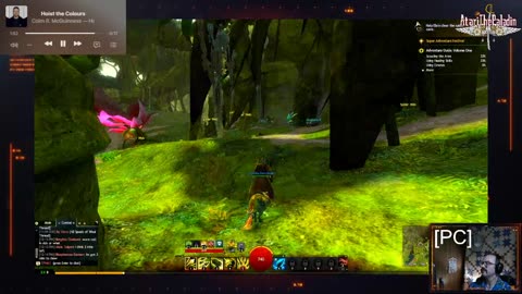 Guild Wars 2 (pt 1)