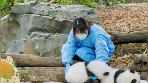 cute animal