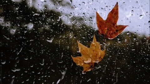 Ideal rainfall