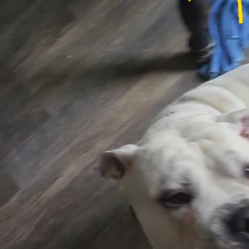 Sent this to my Wife.