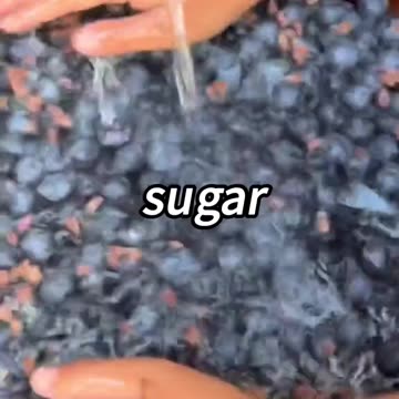 The health benefits of bule berries