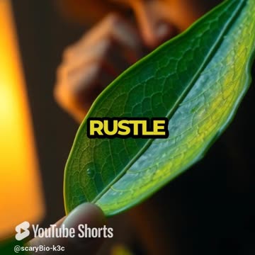 Whispers from My Plant: A Chilling Prediction Awaits!#shorts