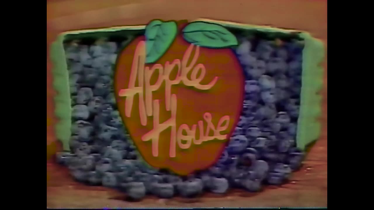 August 4, 1989 - Burger Chrysler Plymouth, Apple House, & WTHI Year of The Family