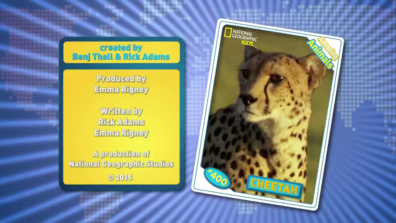 Cheetah Fun Facts