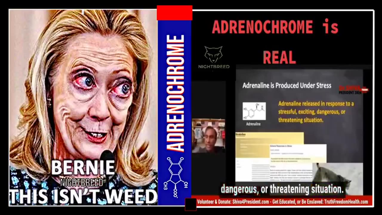 Dr. Shiva Ayyadurai on ADRENOCHROME