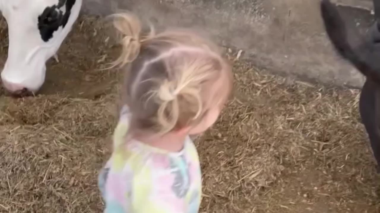 Kid Gets Unexpected Cow Tackle on Farm Visit 🐄👧