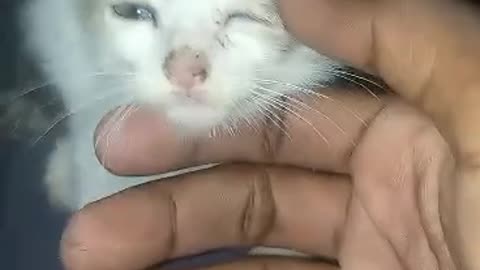 Meet my baby Frost