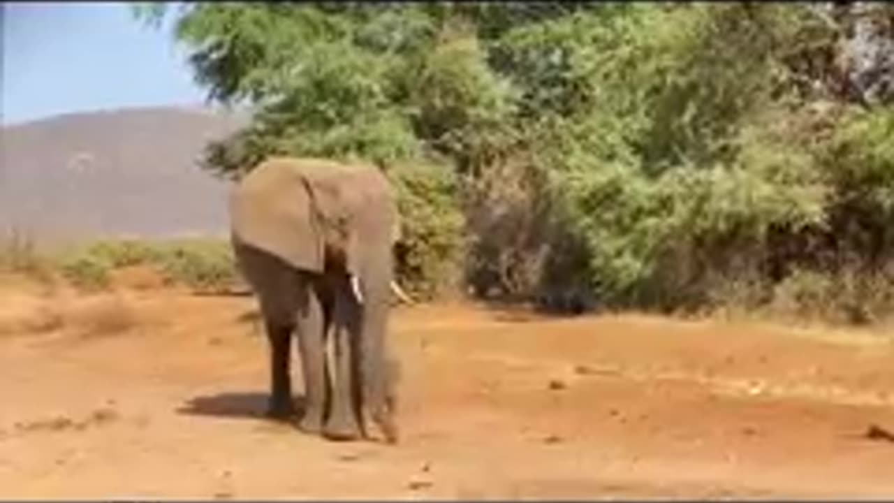 Amboseli National Park