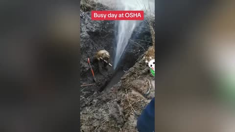 A perfect day at OSHA, part 2