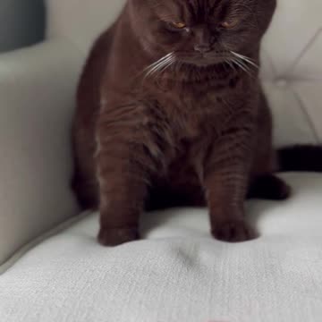 Very antisocial and unappreciative 😂😂