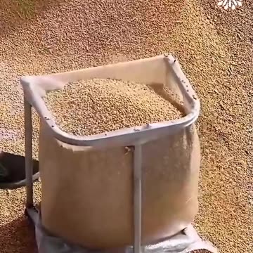 Sack loading made easy!.hd