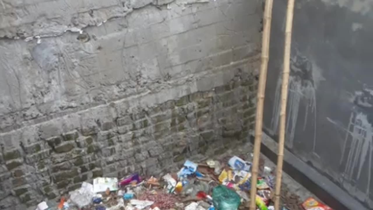 Dog Lays in Trash Pit