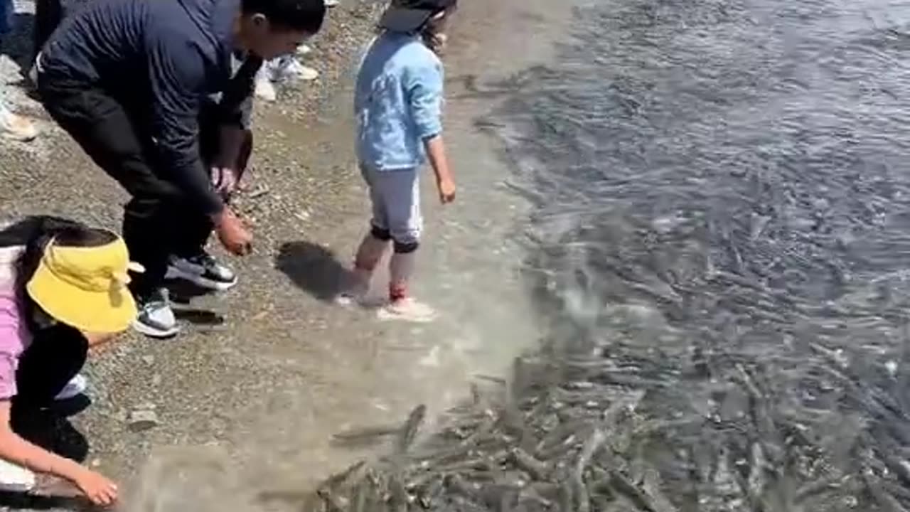 Fishing shorts